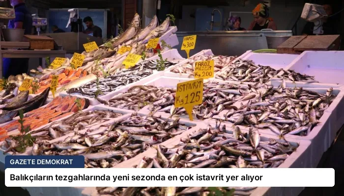 Balıkçıların tezgahlarında yeni sezonda en çok istavrit yer alıyor