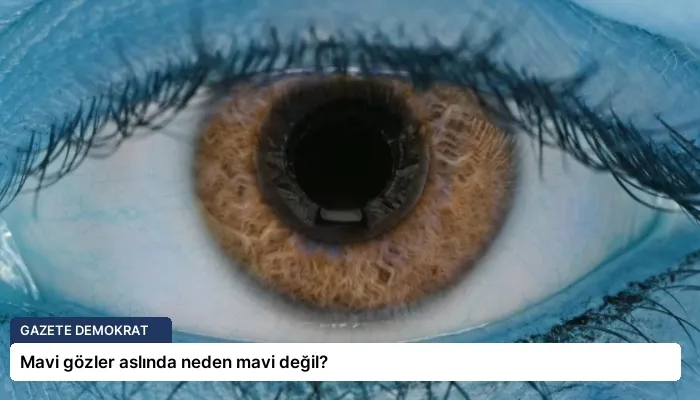 Mavi gözler aslında neden mavi değil?