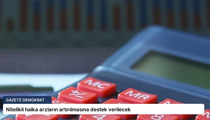 Nitelikli halka arzların artırılmasına destek verilecek
