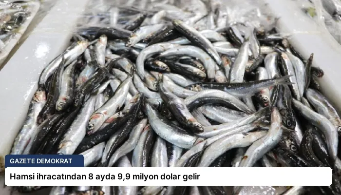 Hamsi ihracatından 8 ayda 9,9 milyon dolar gelir