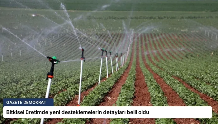 Bitkisel üretimde yeni desteklemelerin detayları belli oldu