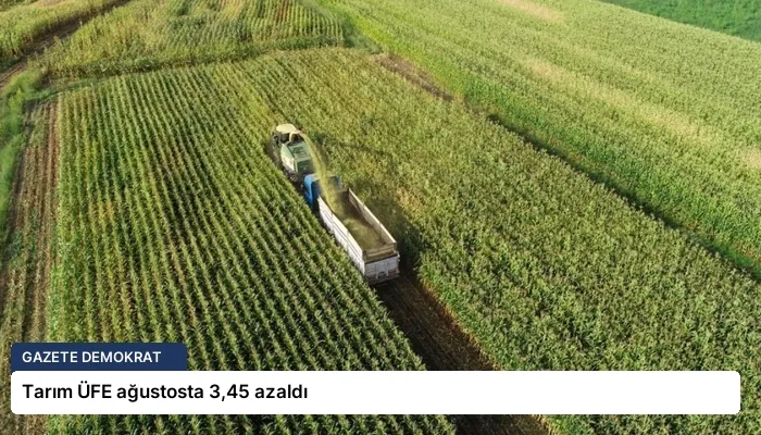 Tarım ÜFE ağustosta 3,45 azaldı