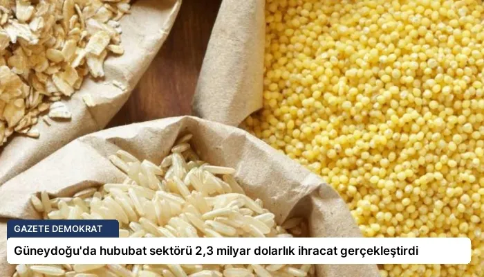 Güneydoğu’da hububat sektörü 2,3 milyar dolarlık ihracat gerçekleştirdi