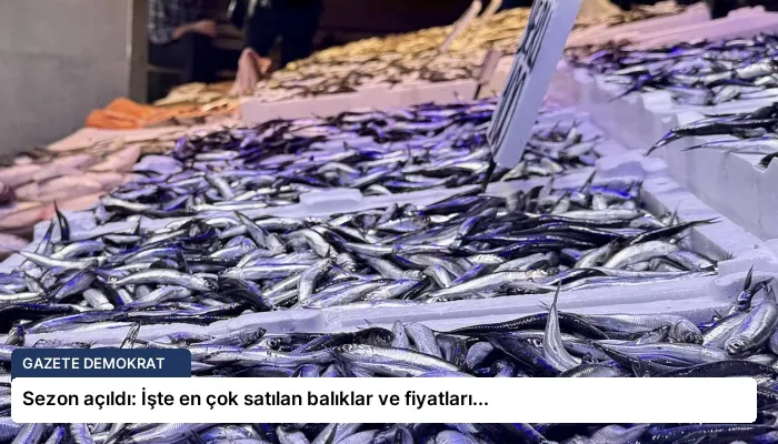 Sezon açıldı: İşte en çok satılan balıklar ve fiyatları…