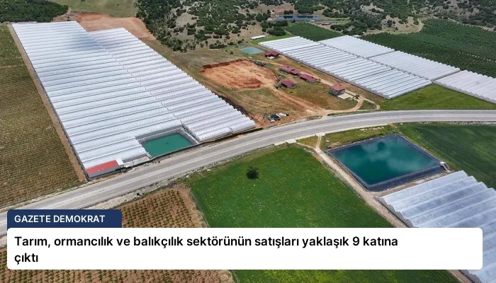 Tarım, ormancılık ve balıkçılık sektörünün satışları yaklaşık 9 katına çıktı