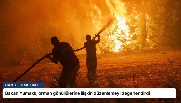 Bakan Yumaklı, orman gönüllülerine ilişkin düzenlemeyi değerlendirdi