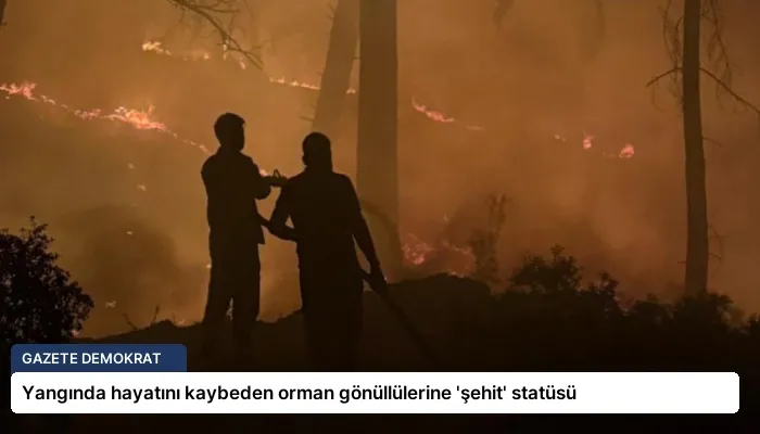 Yangında hayatını kaybeden orman gönüllülerine ‘şehit’ statüsü
