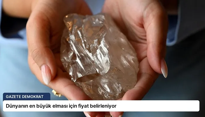 Dünyanın en büyük elması için fiyat belirleniyor