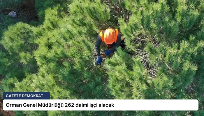 Orman Genel Müdürlüğü 262 daimi işçi alacak