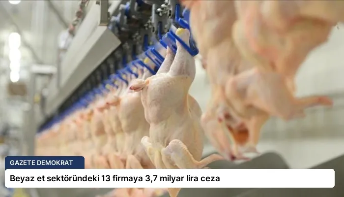 Beyaz et sektöründeki 13 firmaya 3,7 milyar lira ceza