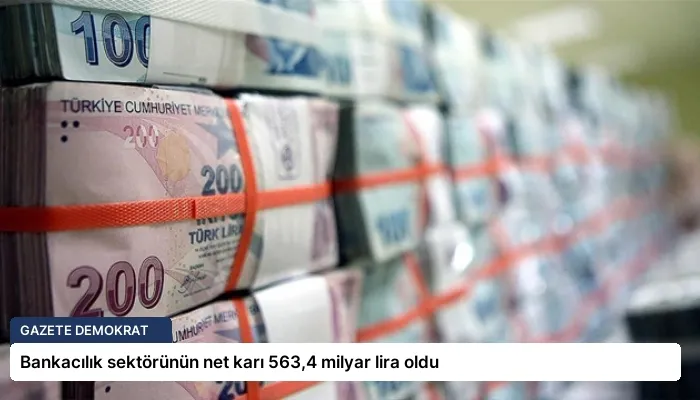Bankacılık sektörünün net karı 563,4 milyar lira oldu