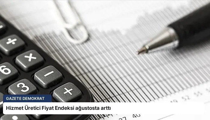 Hizmet Üretici Fiyat Endeksi ağustosta arttı