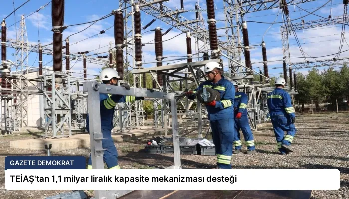 TEİAŞ’tan 1,1 milyar liralık kapasite mekanizması desteği