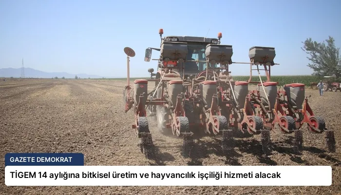 TİGEM 14 aylığına bitkisel üretim ve hayvancılık işçiliği hizmeti alacak