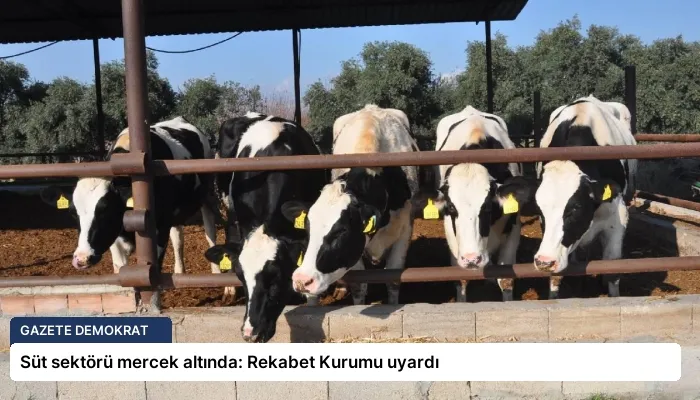 Süt sektörü mercek altında: Rekabet Kurumu uyardı