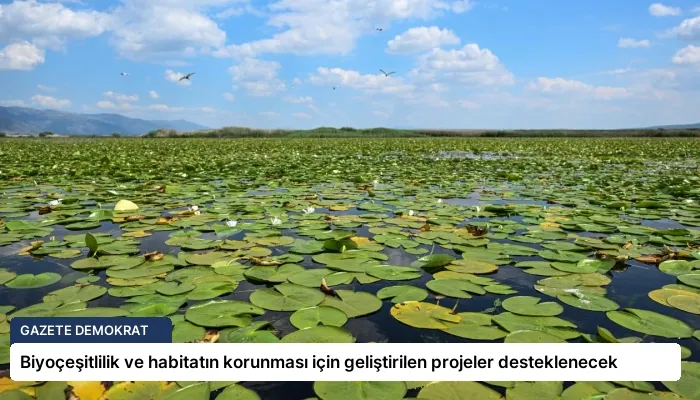 Biyoçeşitlilik ve habitatın korunması için geliştirilen projeler desteklenecek