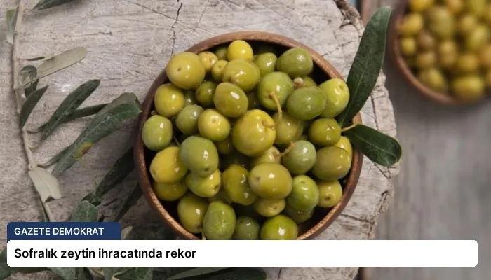 Sofralık zeytin ihracatında rekor