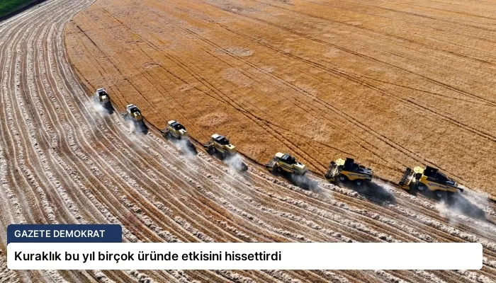 Kuraklık bu yıl birçok üründe etkisini hissettirdi
