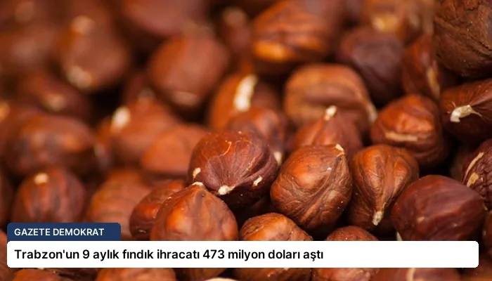 Trabzon’un 9 aylık fındık ihracatı 473 milyon doları aştı
