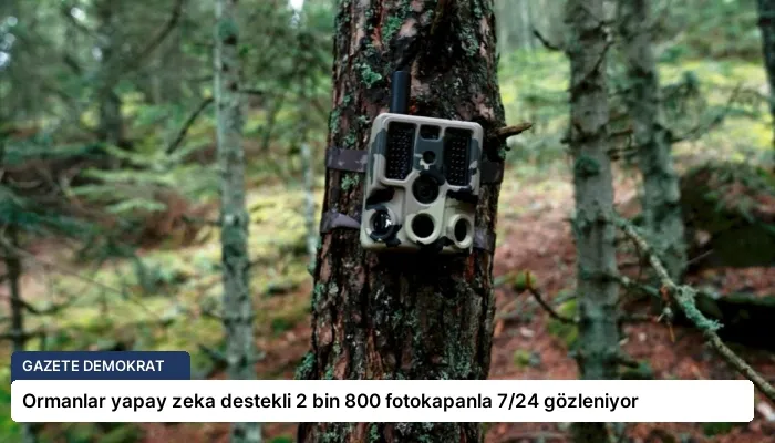 Ormanlar yapay zeka destekli 2 bin 800 fotokapanla 7/24 gözleniyor