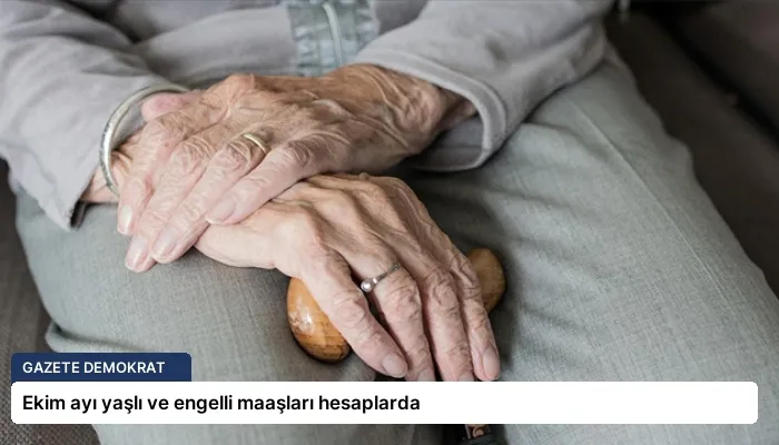 Ekim ayı yaşlı ve engelli maaşları hesaplarda