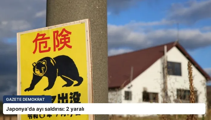 Japonya’da ayı saldırısı: 2 yaralı
