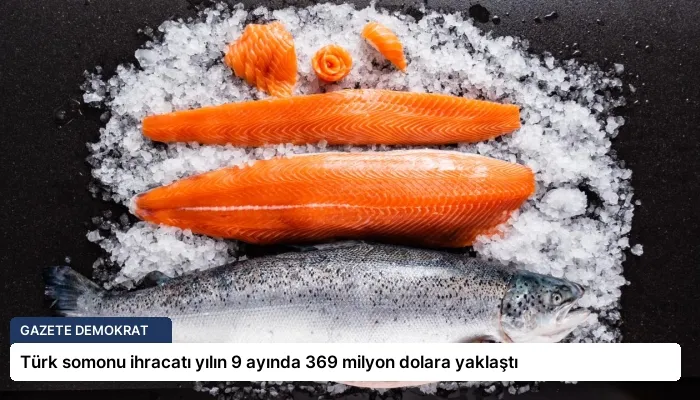 Türk somonu ihracatı yılın 9 ayında 369 milyon dolara yaklaştı