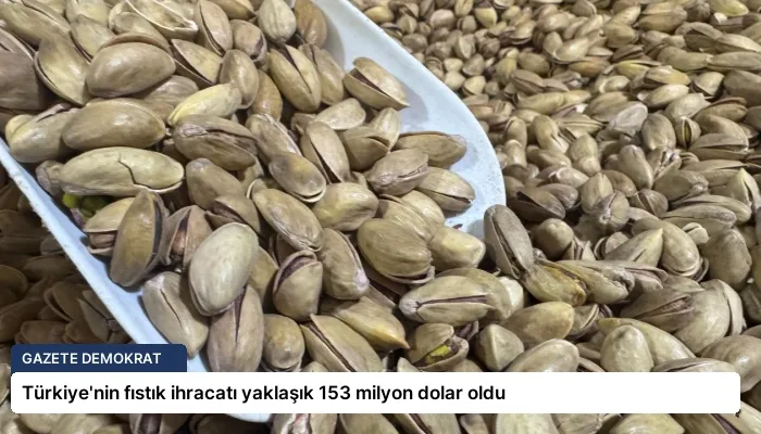 Türkiye’nin fıstık ihracatı yaklaşık 153 milyon dolar oldu