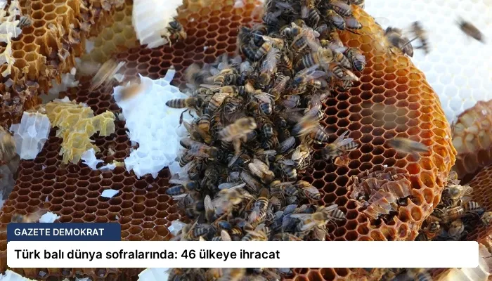 Türk balı dünya sofralarında: 46 ülkeye ihracat
