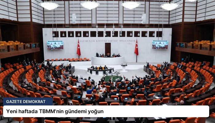 Yeni haftada TBMM’nin gündemi yoğun