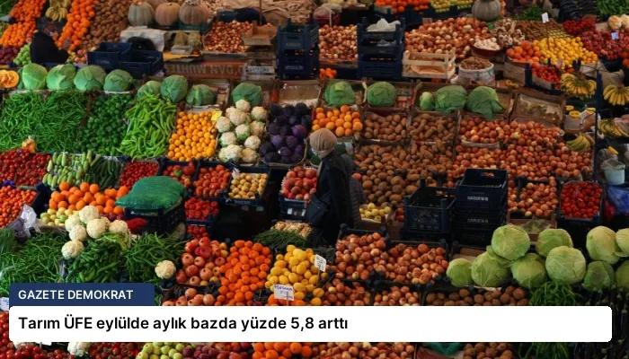 Tarım ÜFE eylülde aylık bazda yüzde 5,8 arttı