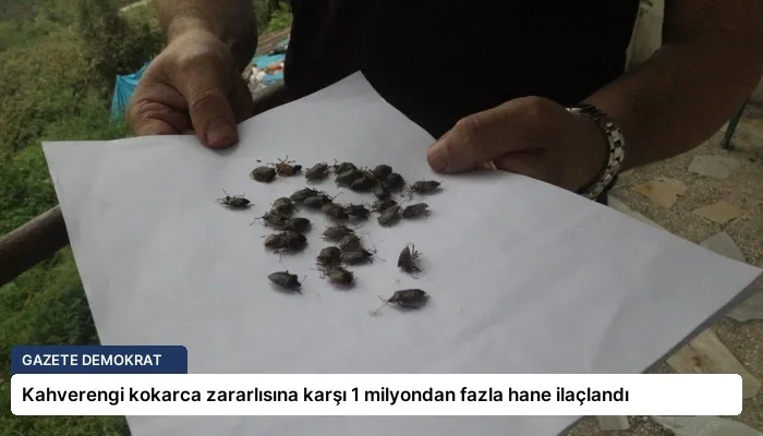 Kahverengi kokarca zararlısına karşı 1 milyondan fazla hane ilaçlandı