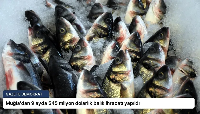 Muğla’dan 9 ayda 545 milyon dolarlık balık ihracatı yapıldı