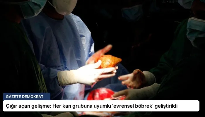 Çığır açan gelişme: Her kan grubuna uyumlu ‘evrensel böbrek’ geliştirildi