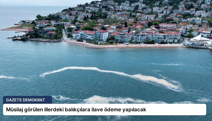 Müsilaj görülen illerdeki balıkçılara ilave ödeme yapılacak