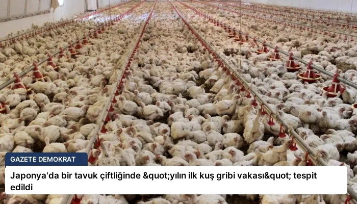 Japonya’da bir tavuk çiftliğinde "yılın ilk kuş gribi vakası" tespit edildi