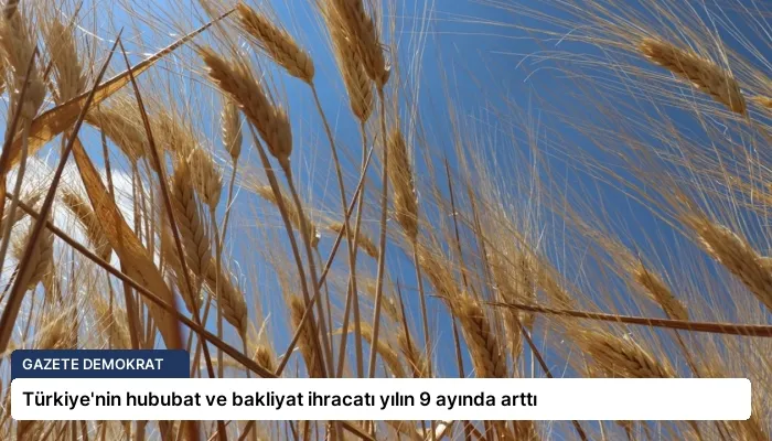 Türkiye’nin hububat ve bakliyat ihracatı yılın 9 ayında arttı