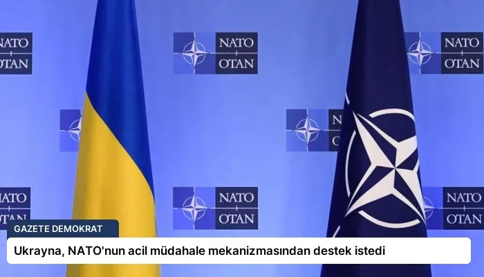 Ukrayna, NATO’nun acil müdahale mekanizmasından destek istedi