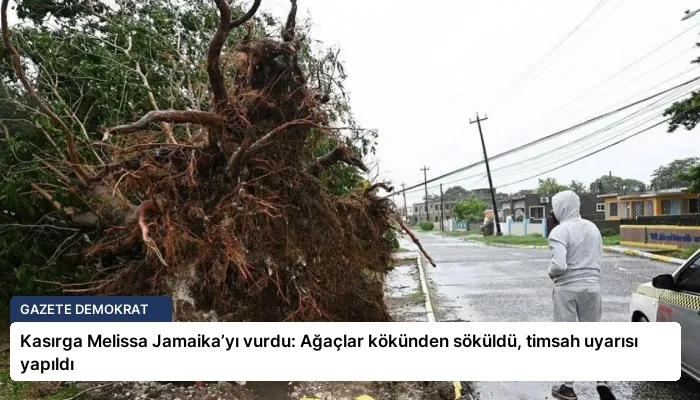 Kasırga Melissa Jamaika’yı vurdu: Ağaçlar kökünden söküldü, timsah uyarısı yapıldı
