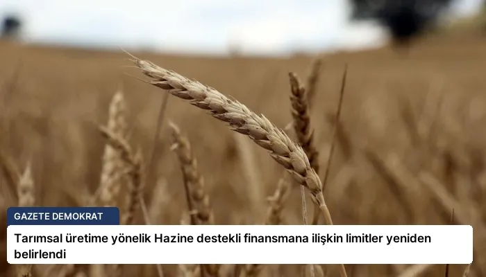 Tarımsal üretime yönelik Hazine destekli finansmana ilişkin limitler yeniden belirlendi