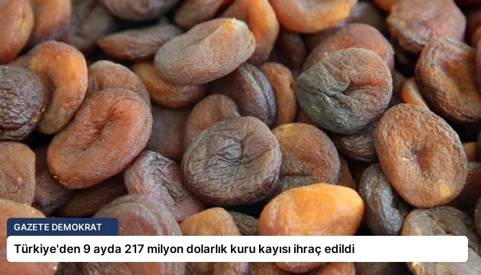 Türkiye’den 9 ayda 217 milyon dolarlık kuru kayısı ihraç edildi