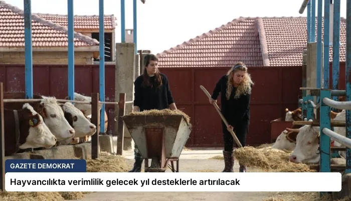 Hayvancılıkta verimlilik gelecek yıl desteklerle artırılacak