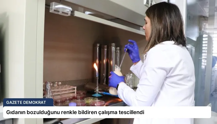 Gıdanın bozulduğunu renkle bildiren çalışma tescillendi