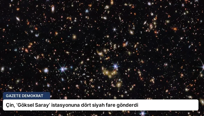Çin, ‘Göksel Saray’ istasyonuna dört siyah fare gönderdi