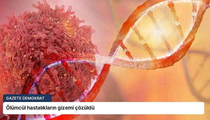 Ölümcül hastalıkların gizemi çözüldü