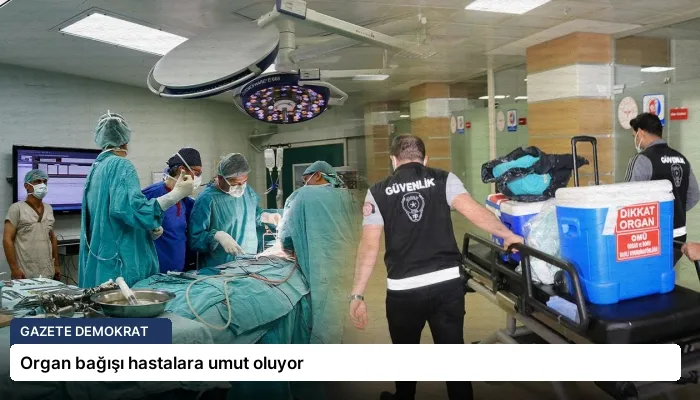 Organ bağışı hastalara umut oluyor
