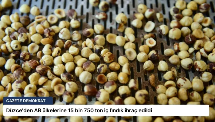 Düzce’den AB ülkelerine 15 bin 750 ton iç fındık ihraç edildi