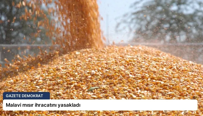 Malavi mısır ihracatını yasakladı