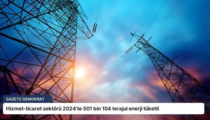 Hizmet-ticaret sektörü 2024’te 501 bin 104 terajul enerji tüketti