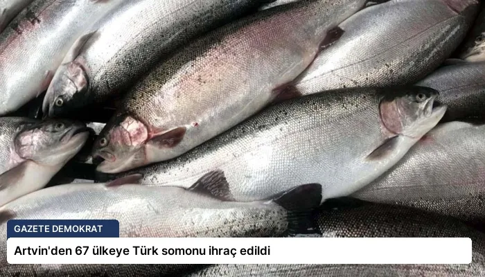 Artvin’den 67 ülkeye Türk somonu ihraç edildi